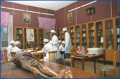WHY STUDY IN UKRAINE